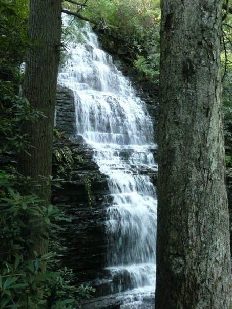 Camper submitted image from Chilhowee Recreation Area - 3