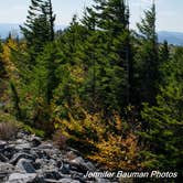 Review photo of Spruce Knob Lake Campground by Jennifer B., October 29, 2019