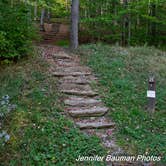 Review photo of Spruce Knob Lake Campground by Jennifer B., October 29, 2019