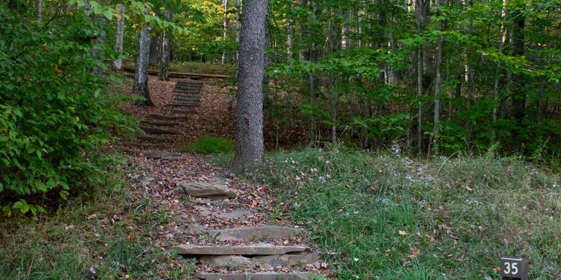 Camper submitted image from Spruce Knob Lake Campground