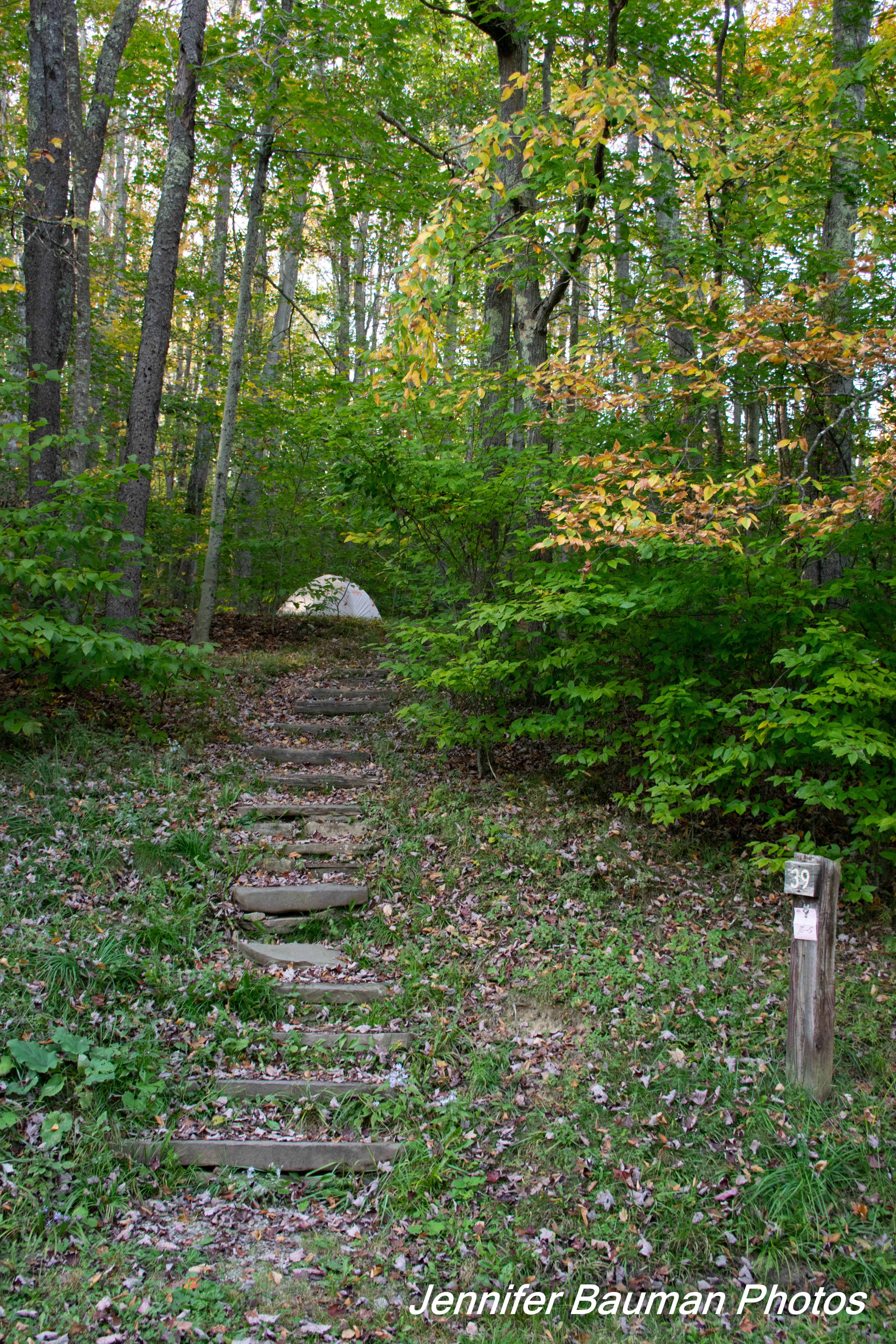 #39 Walk-in tent site