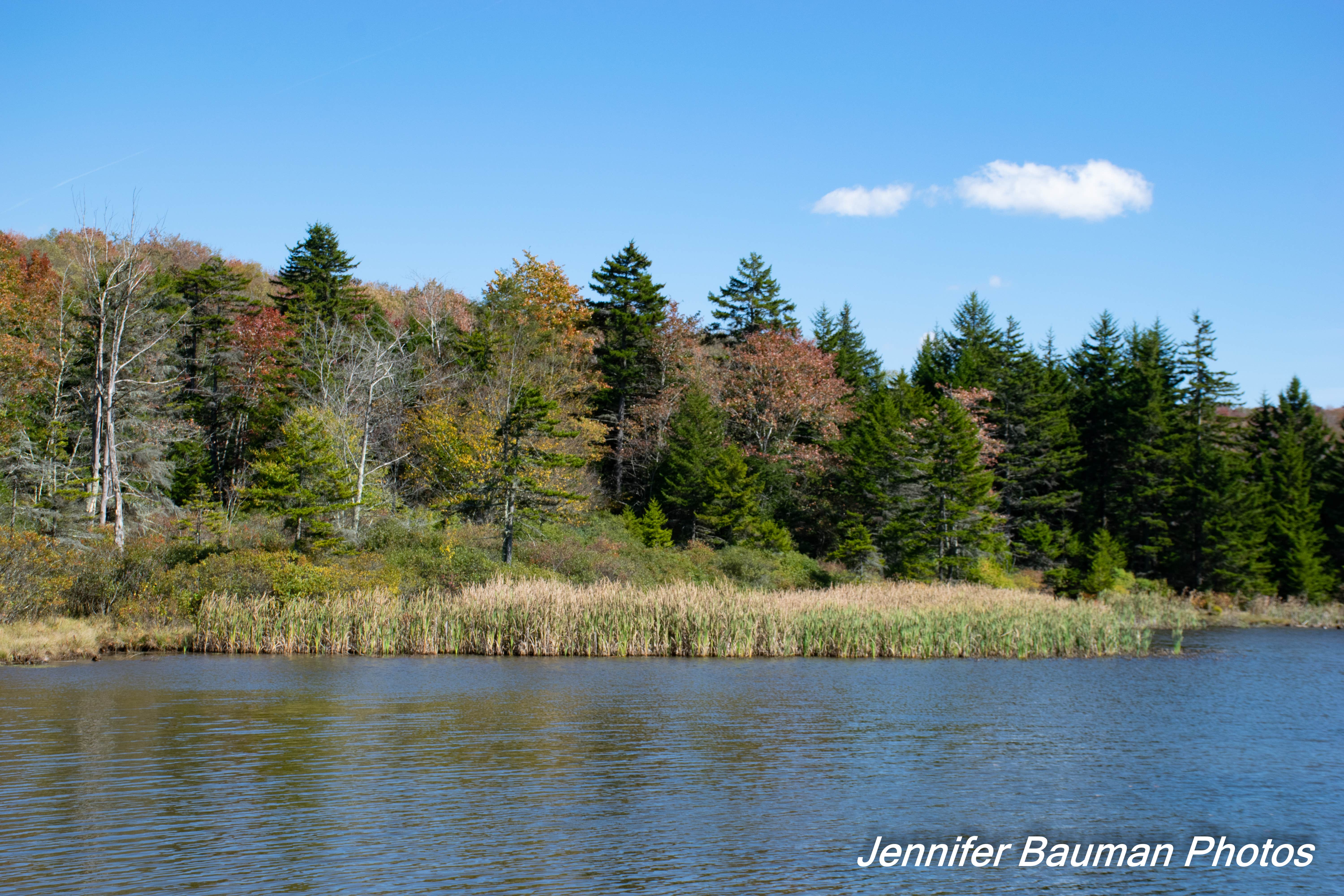 Spruce Knob Lake
