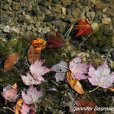 Review photo of Spruce Knob Lake Campground by Jennifer B., October 29, 2019