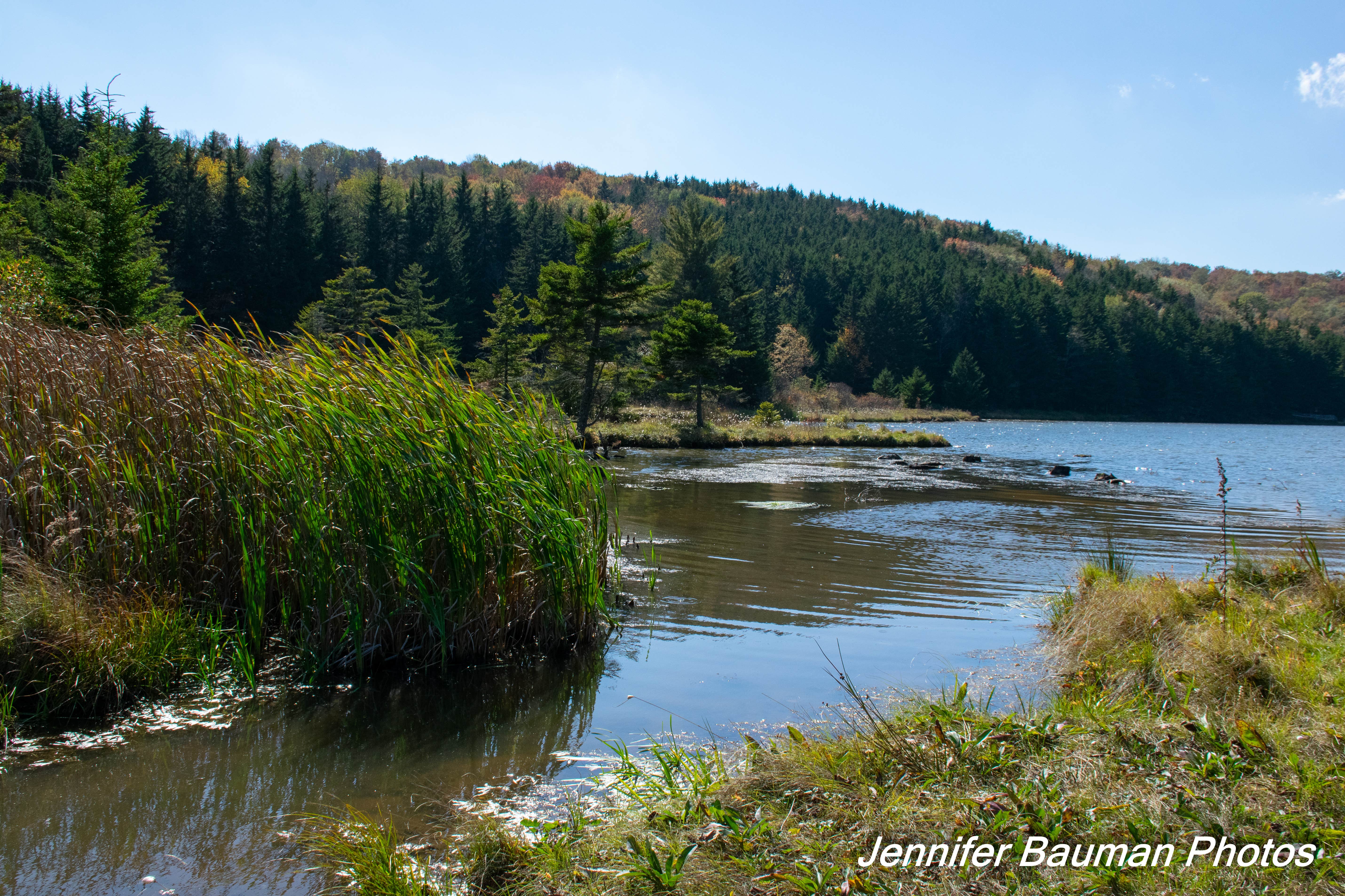 There's a pleasant trail around Spruce Knob Lake