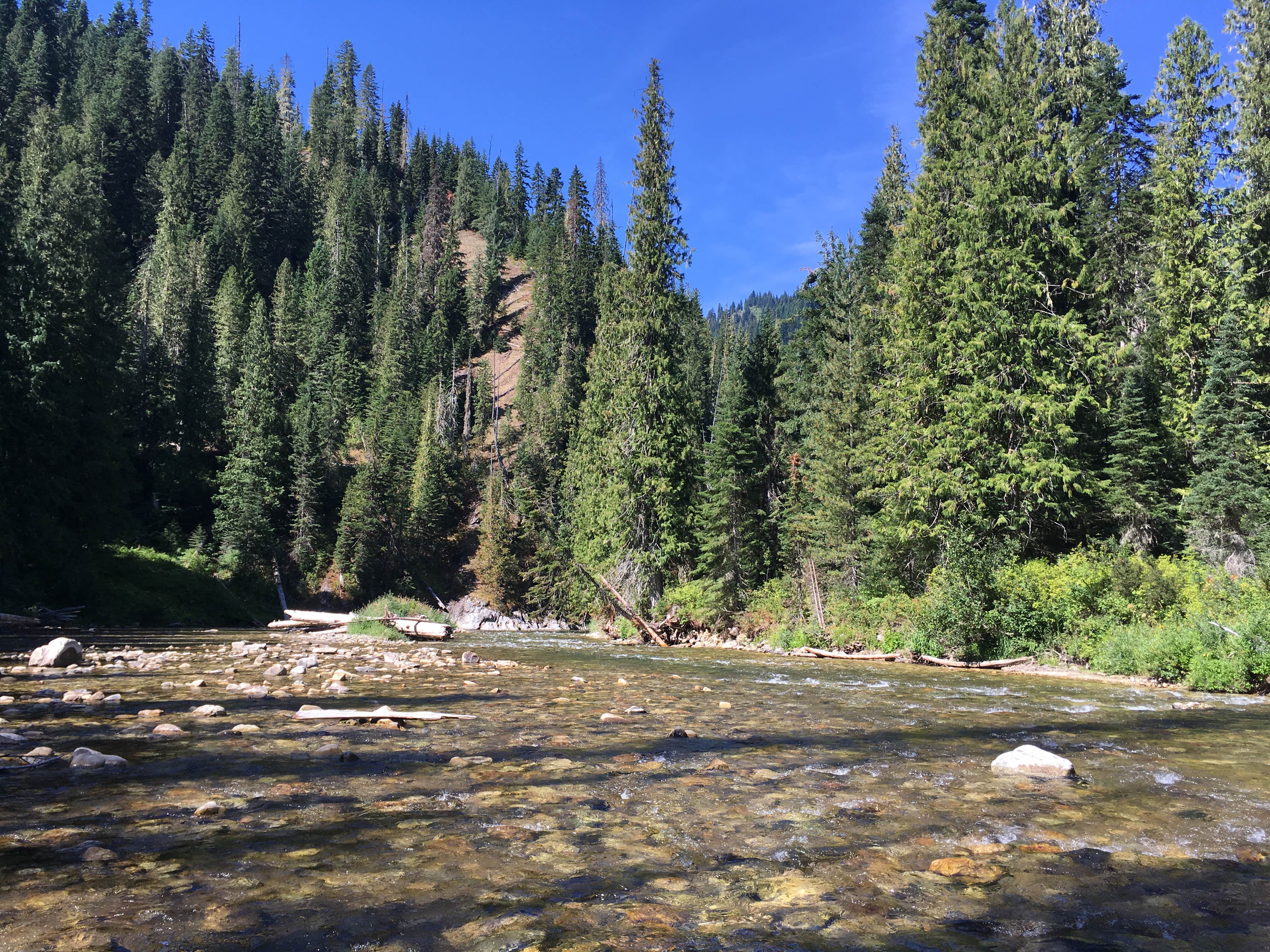 Escape to Idaho's Hidden Gem: Heller Creek Campground