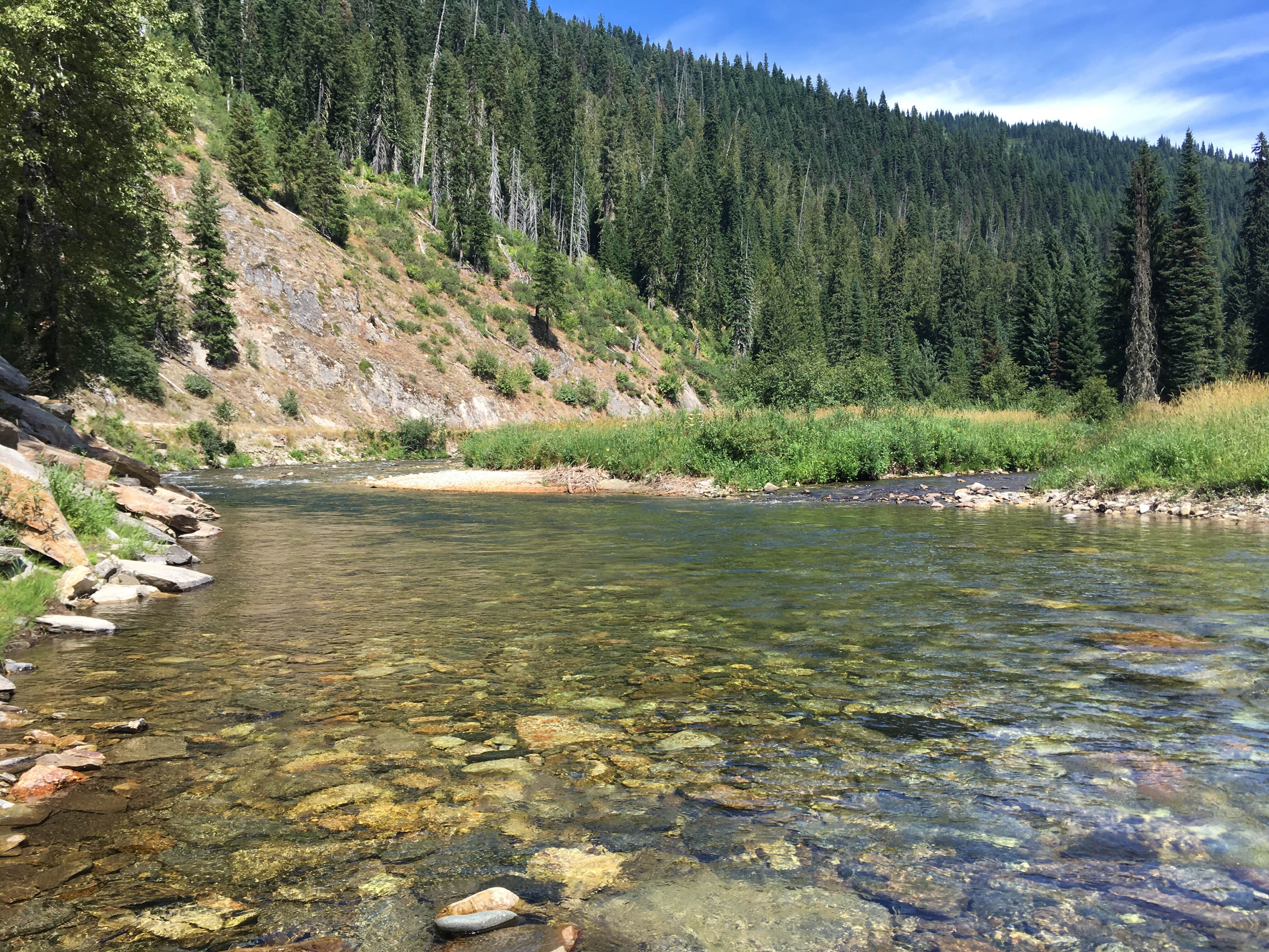 Montana's Hidden Gem: Basin Creek Campground - Where Wilderness Meets Comfort
