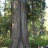 Review photo of Hidden Creek Campground by Shaun W., August 18, 2017