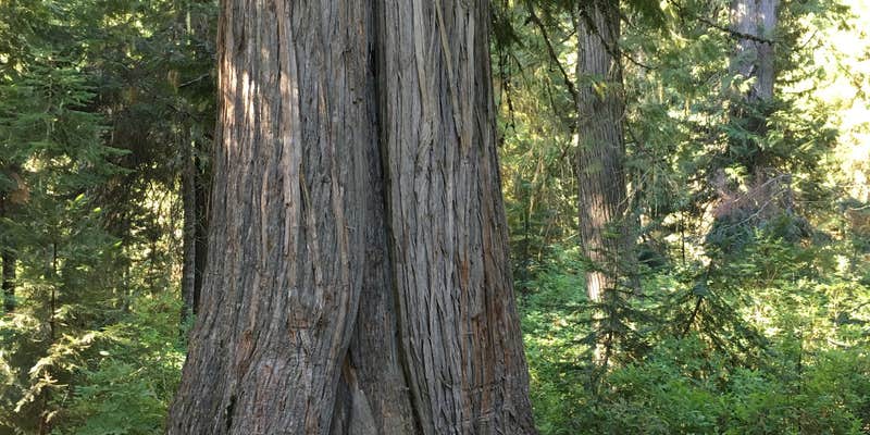 Camper submitted image from Hidden Creek Campground