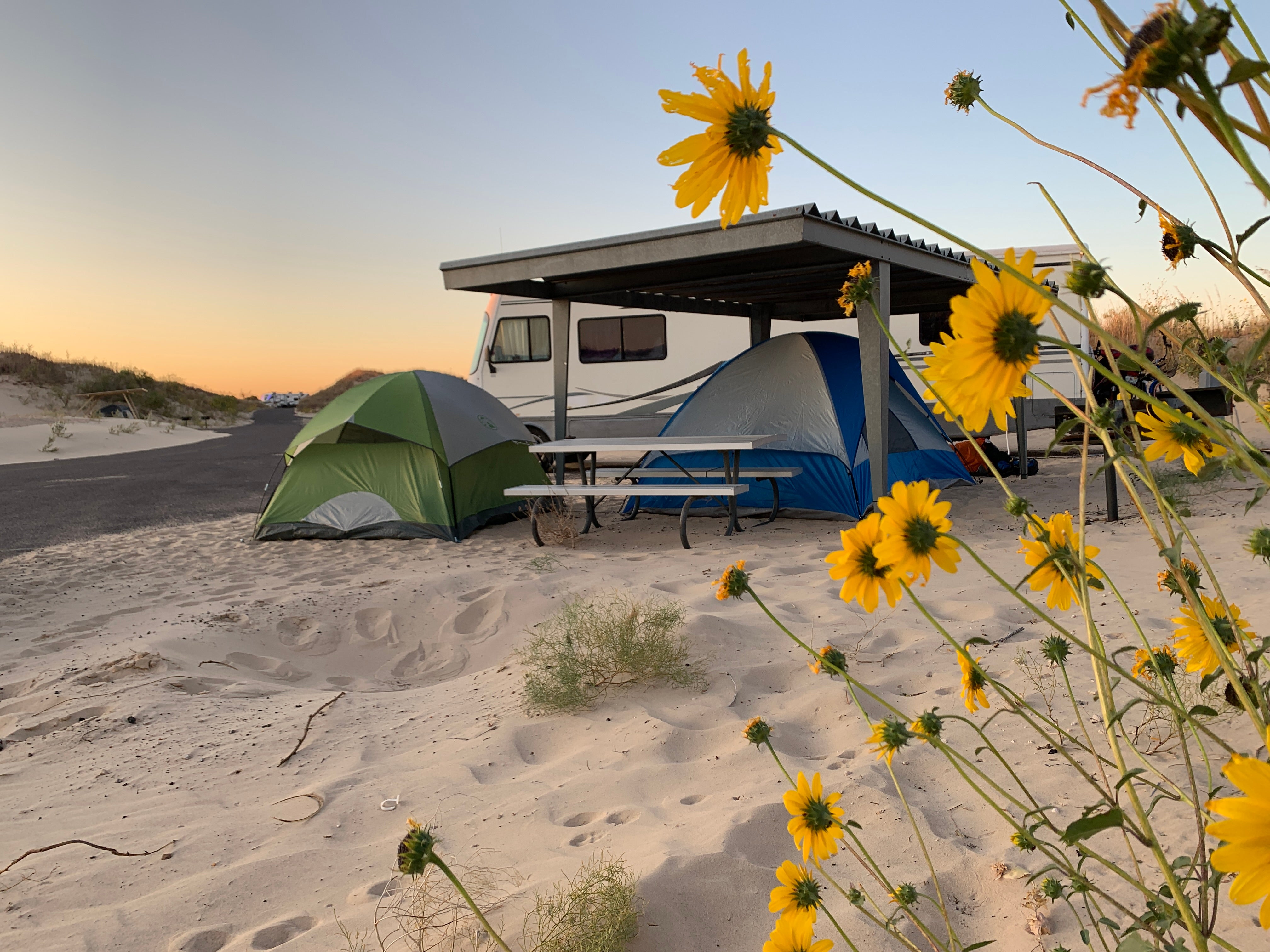 Camper submitted image from Monahans Sandhills State Park Campground - 4
