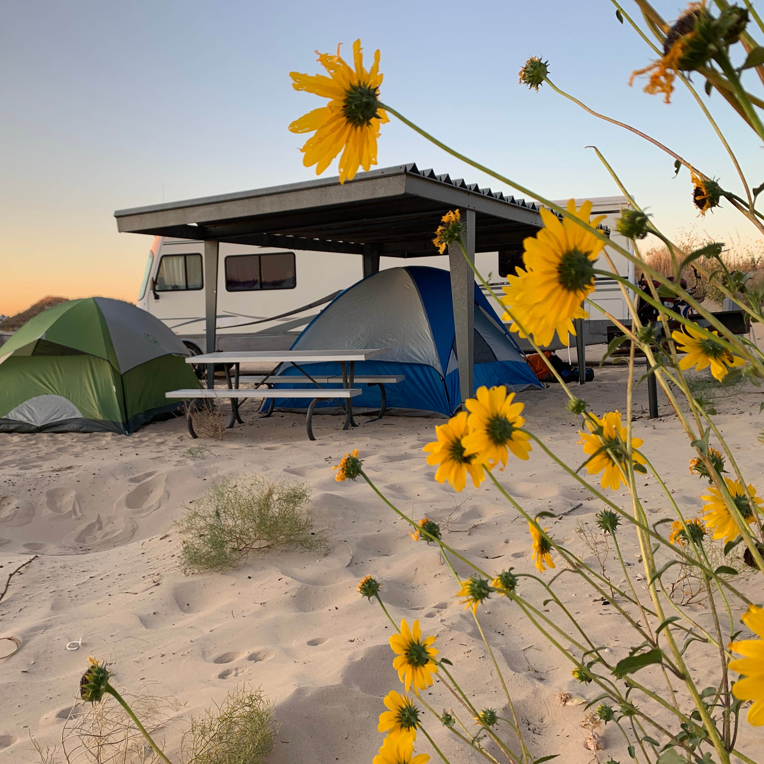 Monahans Sandhills State Park Camping | Monahans, TX | The Dyrt