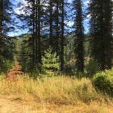 Review photo of Weitas Creek Campground by Shaun W., August 18, 2017