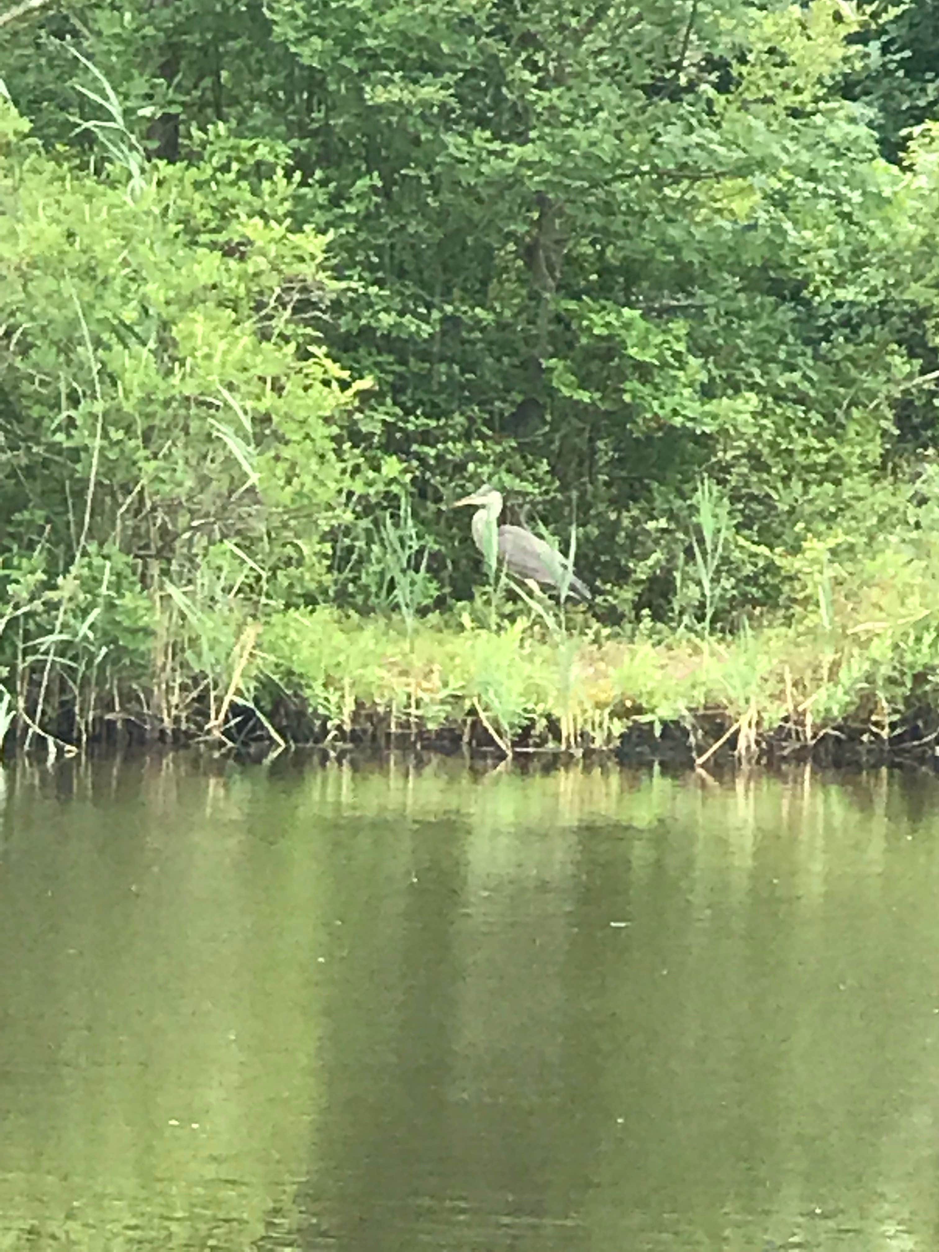 Camper-submitted photo at Red Wing Lakes near South Dennis, NJ