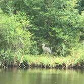 Review photo of Red Wing Lakes by Barry G., October 30, 2019