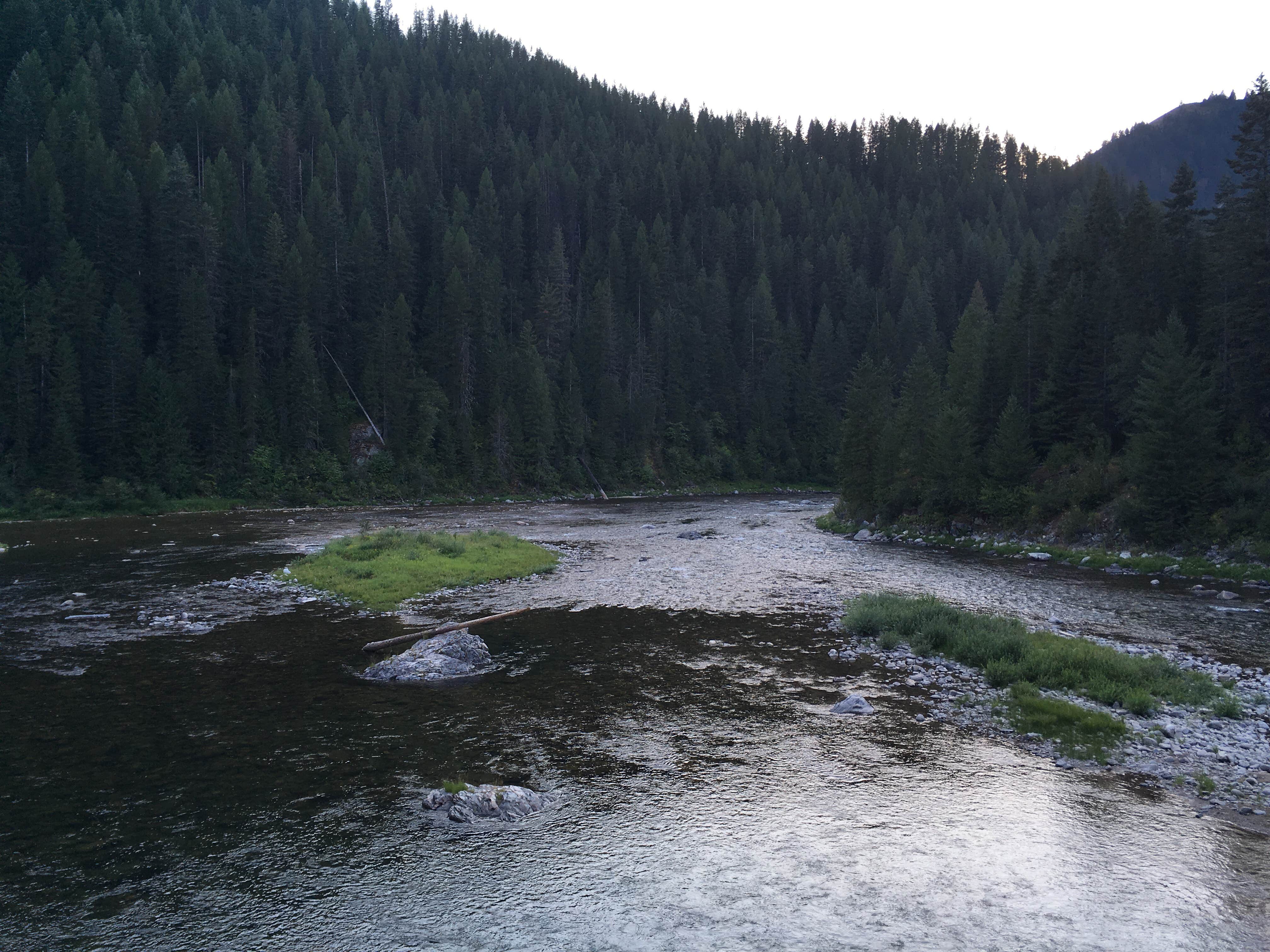 Camper-submitted photo at Weitas Creek Campground near Elk River, ID