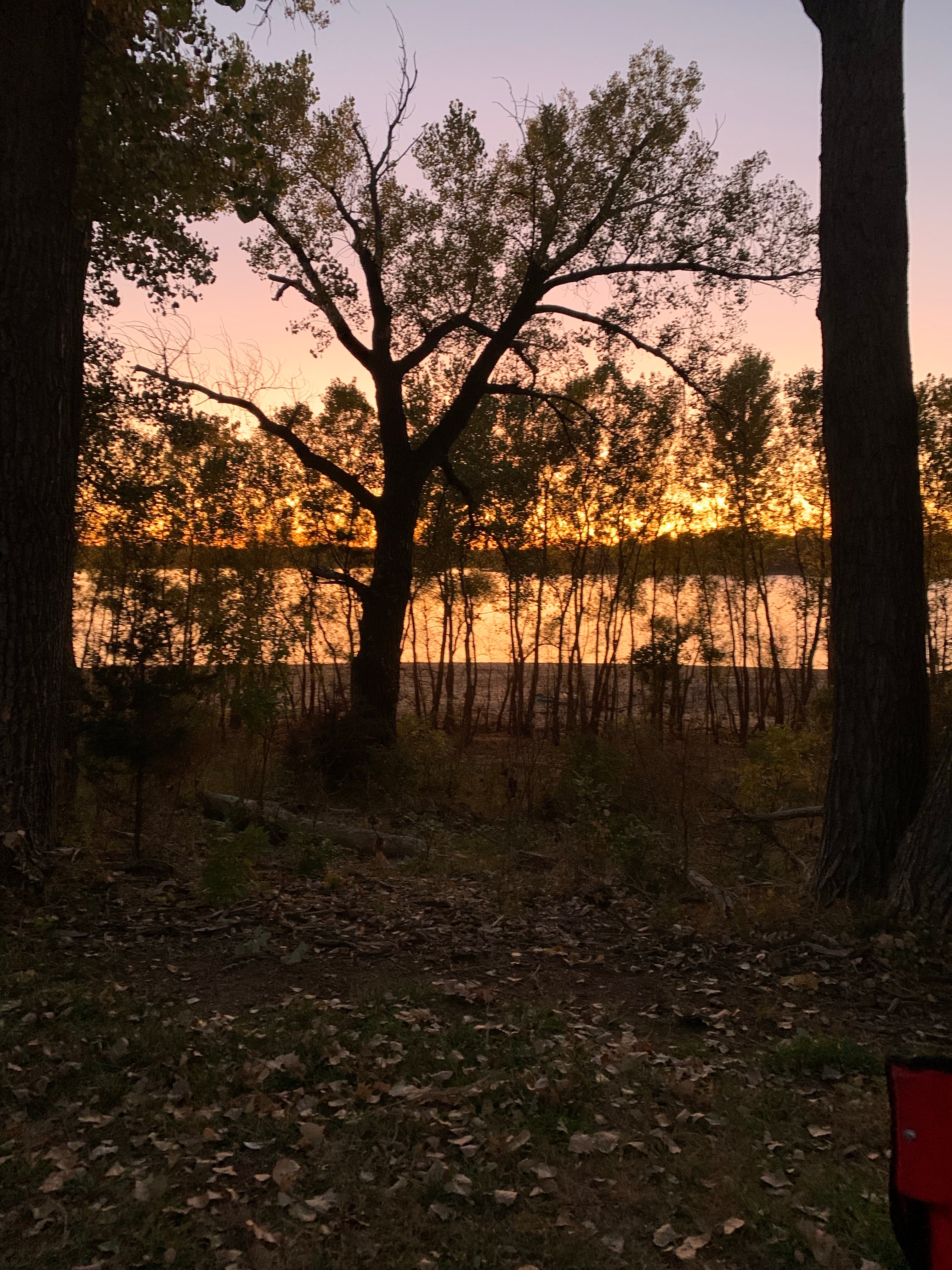Camper submitted image from Sandyshore Campground — Kanopolis State Park - 2