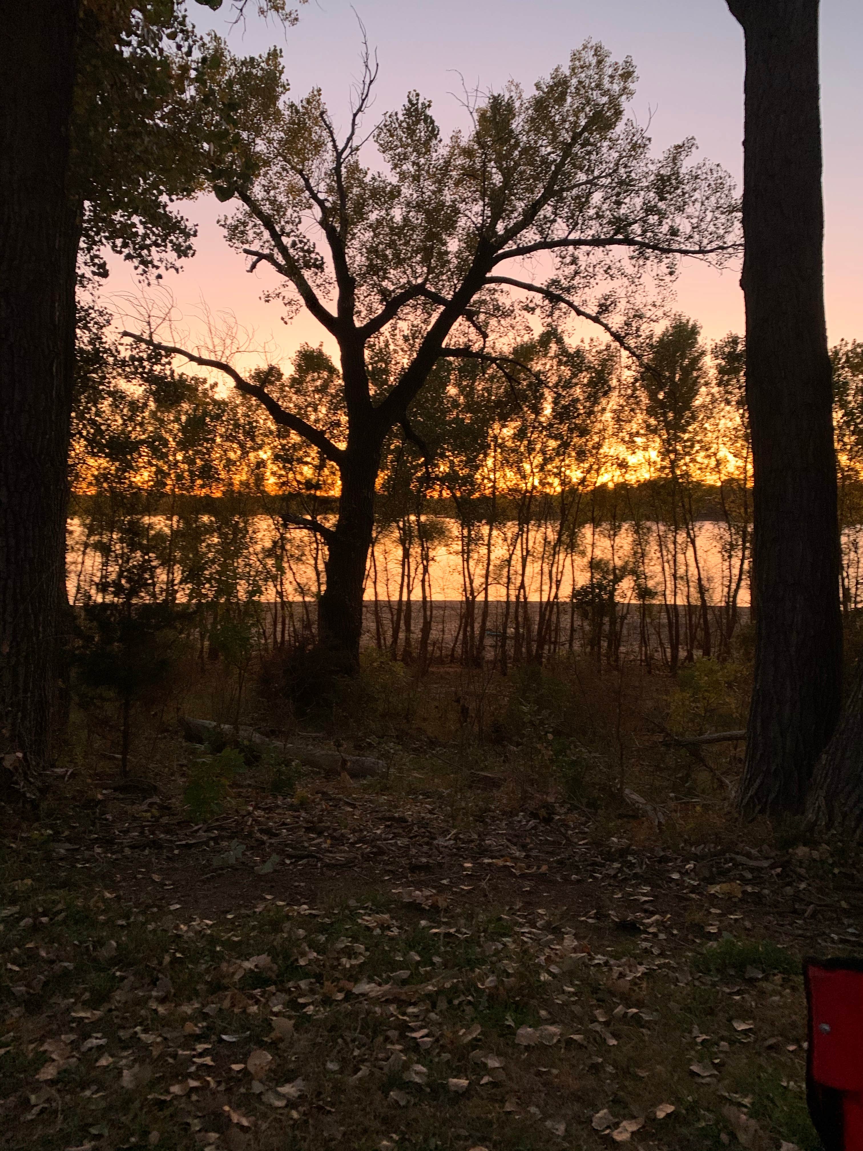 Camper submitted image from Sandyshore Campground — Kanopolis State Park - 2