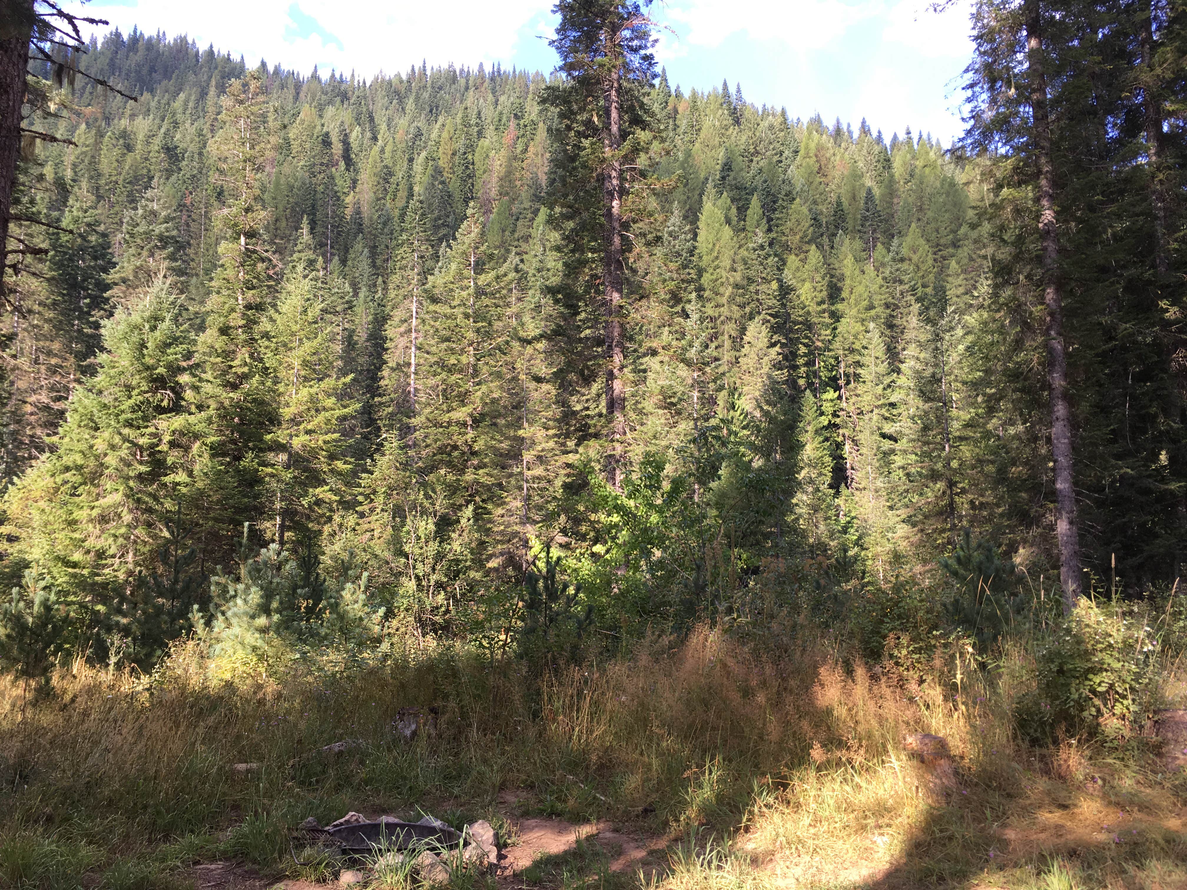 Camper submitted image from Weitas Creek Campground - 1