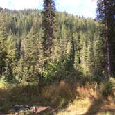 Review photo of Weitas Creek Campground by Shaun W., August 18, 2017