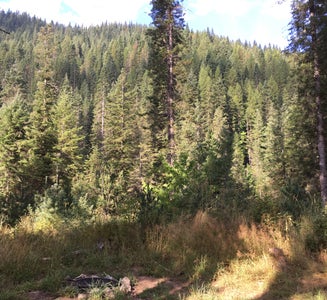 Camper-submitted photo from Weitas Creek Campground