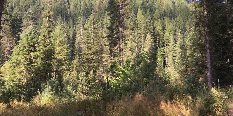 Camper submitted image from Weitas Creek Campground