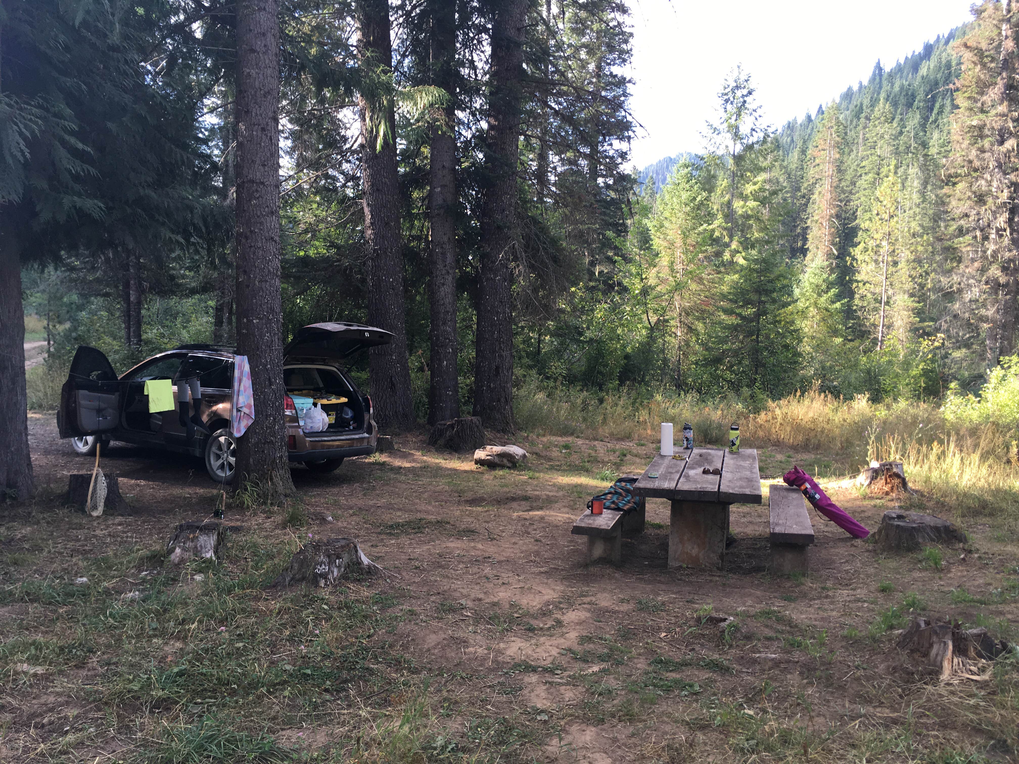 Camper-submitted photo at Weitas Creek Campground near Elk River, ID