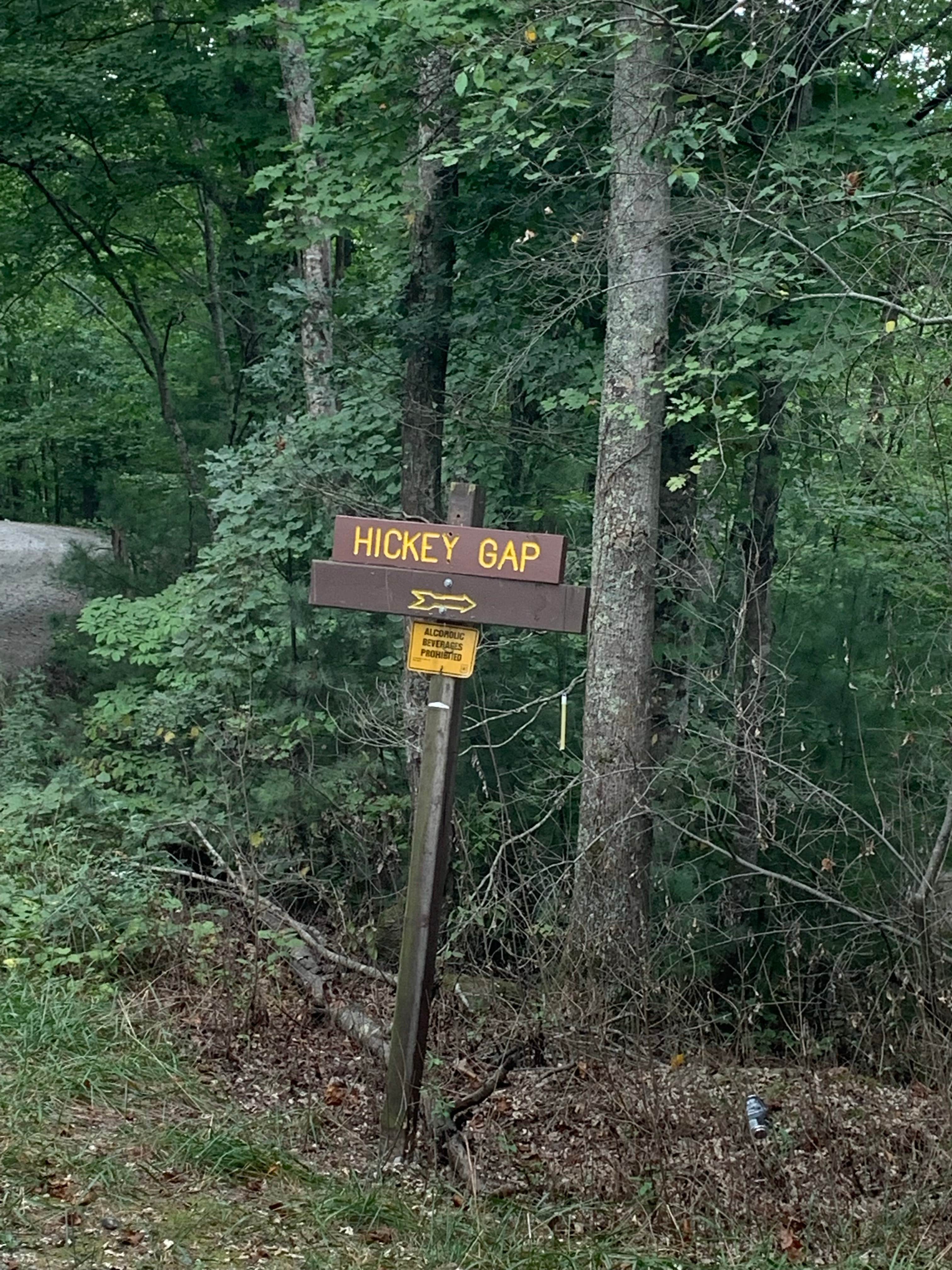 Camper-submitted photo at Hickory Gap near Chatsworth, GA