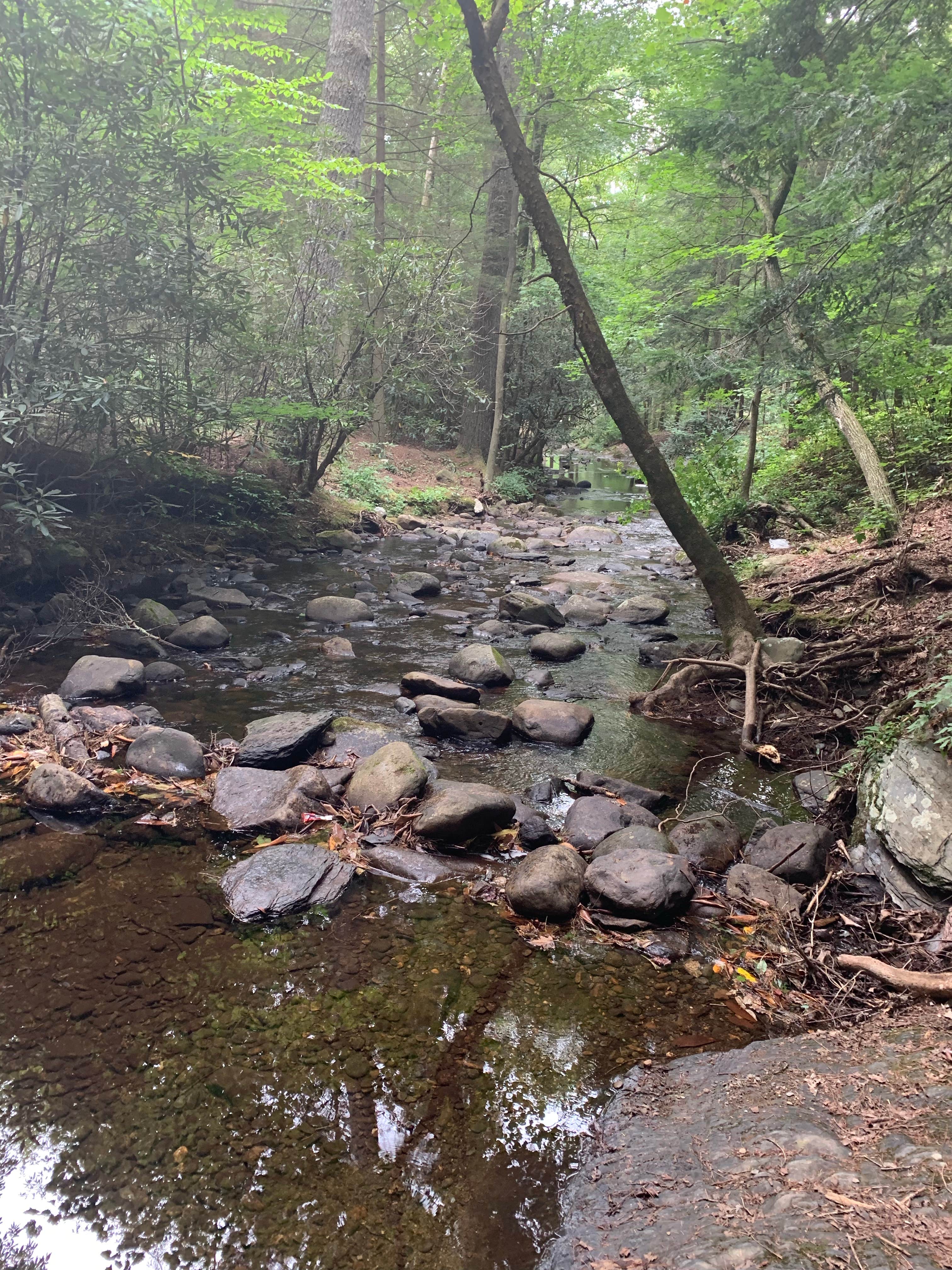 Camping near Murrays Lake Primitive: Hickory Gap, Crandall, Georgia