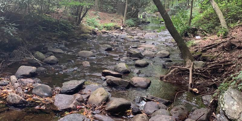 Camper submitted image from Hickey Gap