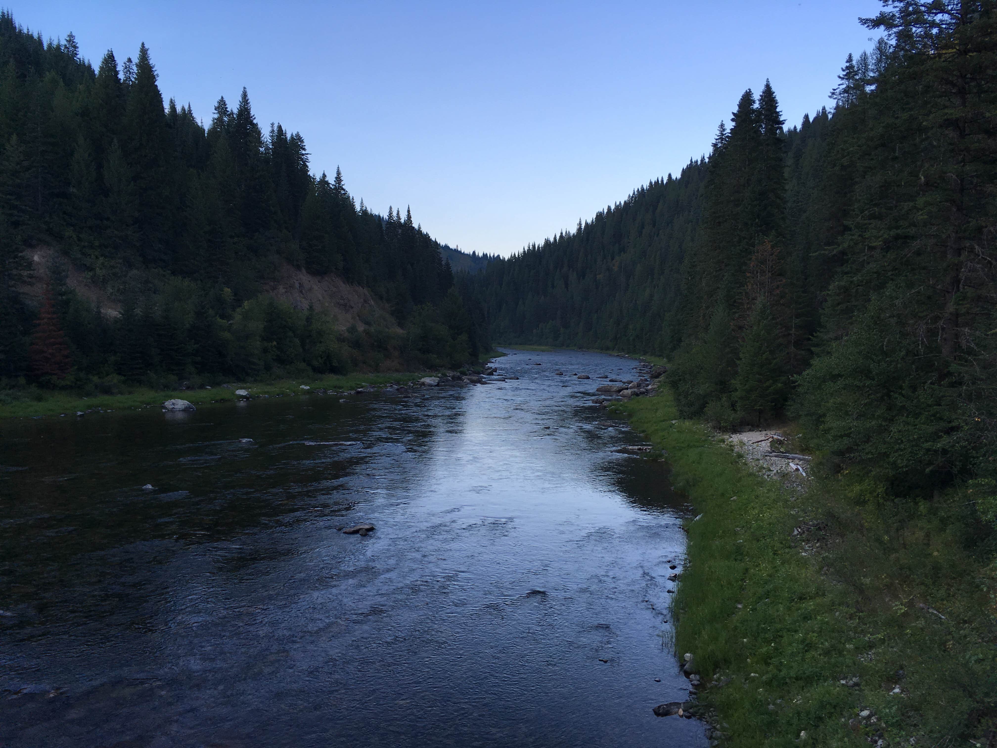 Camper-submitted photo at Weitas Creek Campground near Elk River, ID