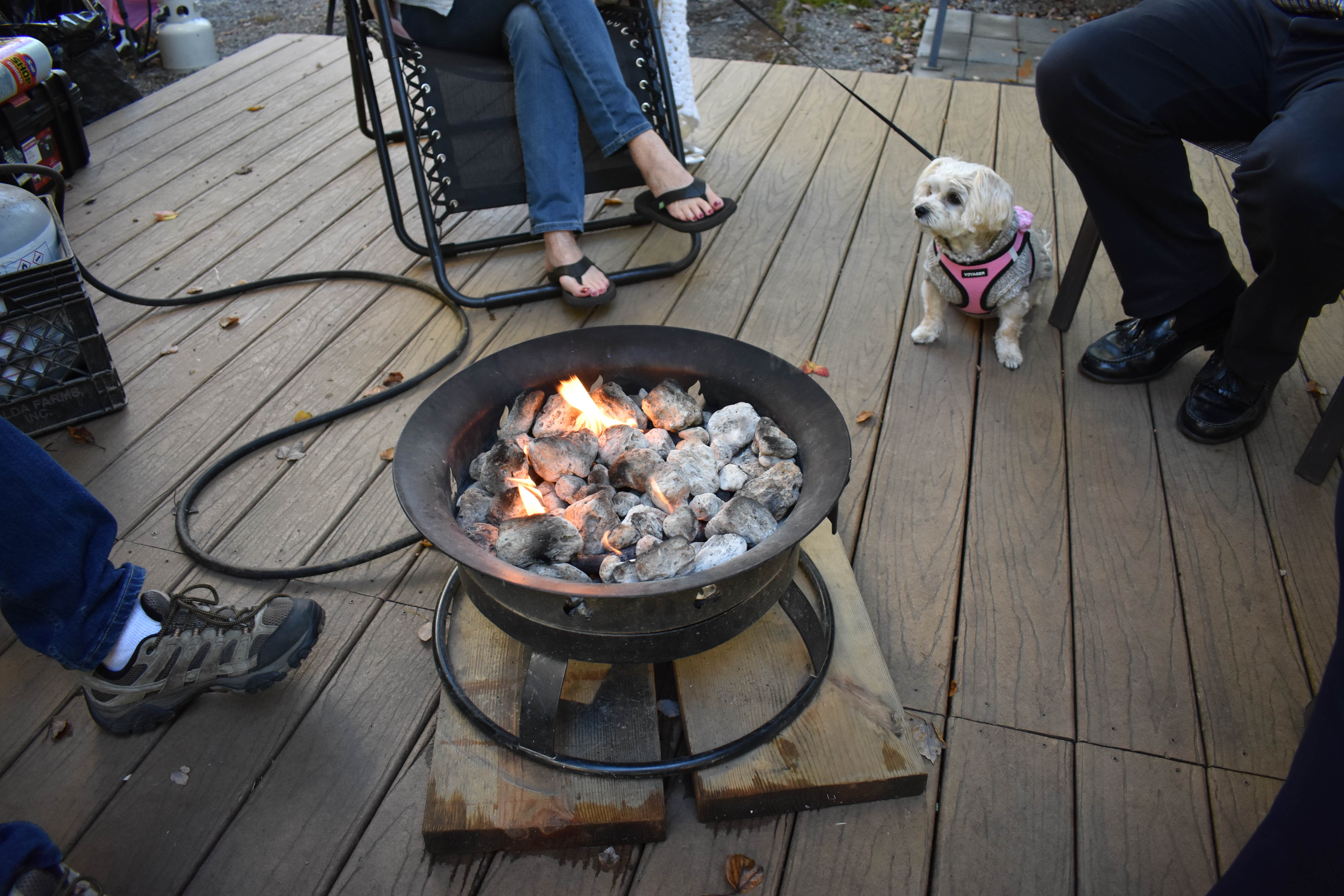 Myron C.'s photo of camping with pets at Stonebridge RV Resort near Canton, NC