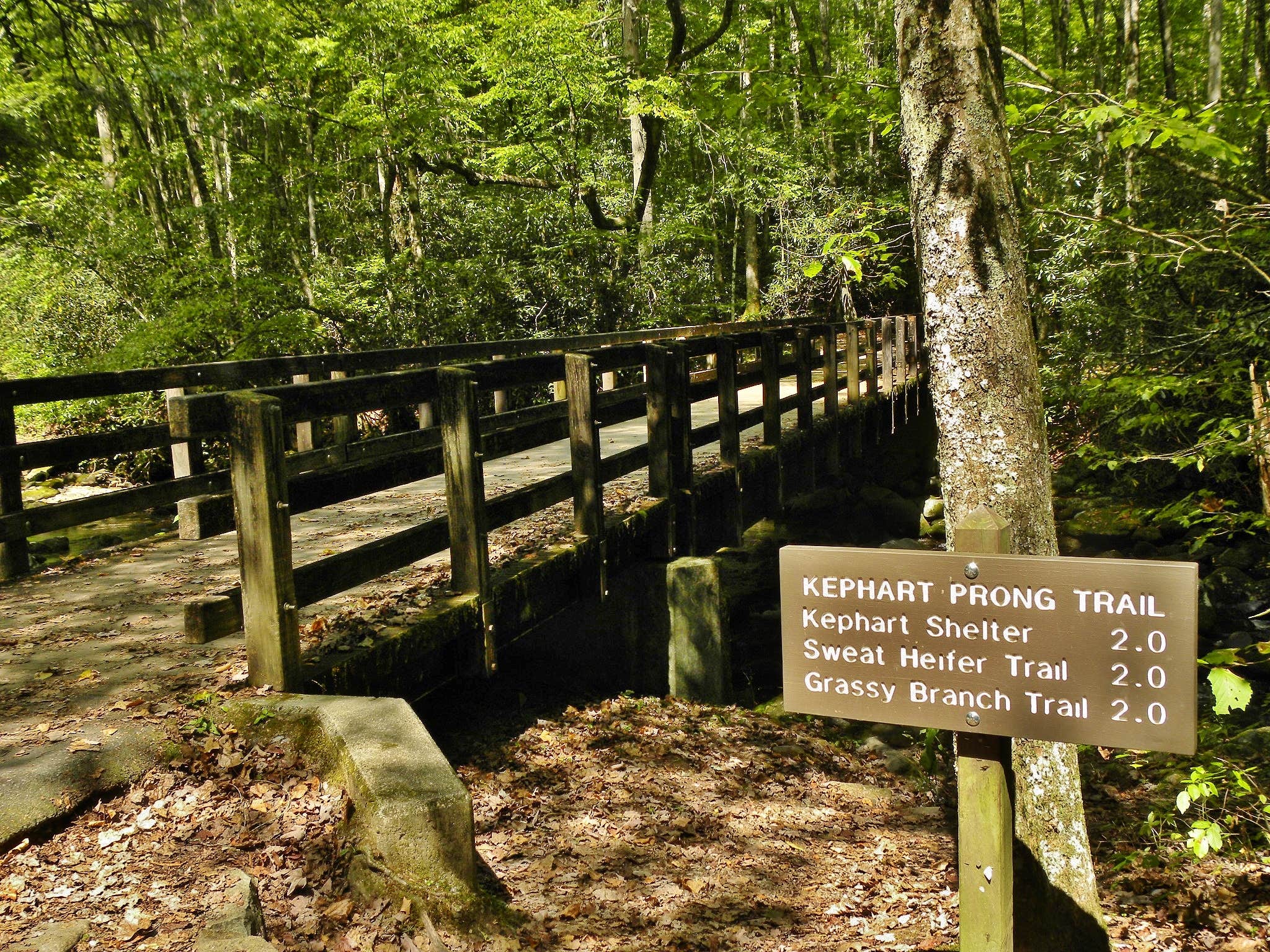 Camper submitted image from Kephart Trail Shelter - 4