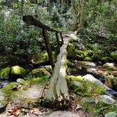 Review photo of Kephart Trail Shelter by Myron C., October 30, 2019