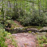 Review photo of Kephart Trail Shelter by Myron C., October 30, 2019