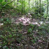 Review photo of Kephart Trail Shelter by Myron C., October 30, 2019