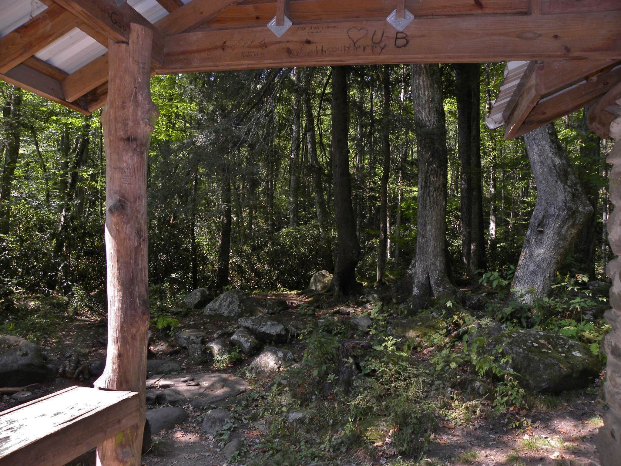 Camping near Smokemont Campground — Great Smoky Mountains National Park: Kephart Trail Shelter — Great Smoky Mountains National Park, Cherokee, North Carolina