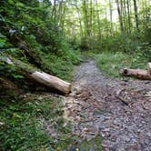 Review photo of Kephart Trail Shelter by Myron C., October 30, 2019