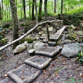 Review photo of Kephart Trail Shelter by Myron C., October 30, 2019