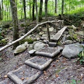 Review photo of Kephart Trail Shelter — Great Smoky Mountains National Park by Myron C., October 30, 2019