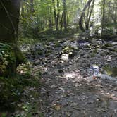 Review photo of Kephart Trail Shelter by Myron C., October 30, 2019