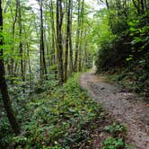 Review photo of Kephart Trail Shelter by Myron C., October 30, 2019