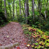 Review photo of Kephart Trail Shelter by Myron C., October 30, 2019