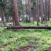 Review photo of Poage Lake Primitive Campsite by Troy W., October 30, 2019