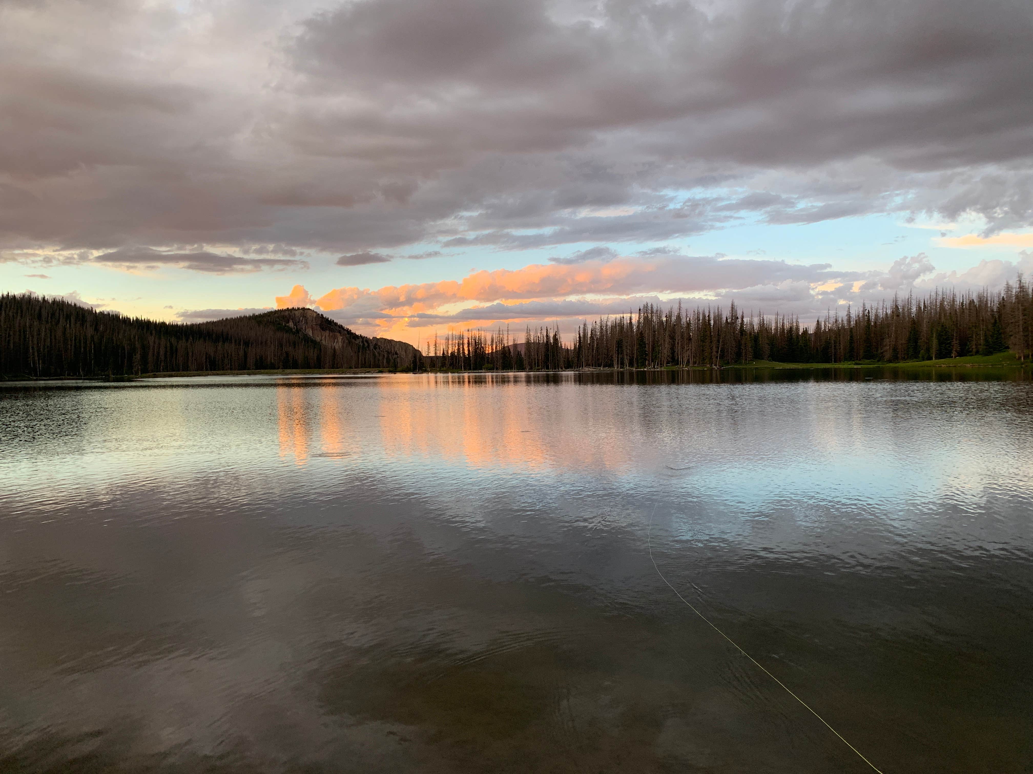 Camper submitted image from Poage Lake Primitive Campsite - 3