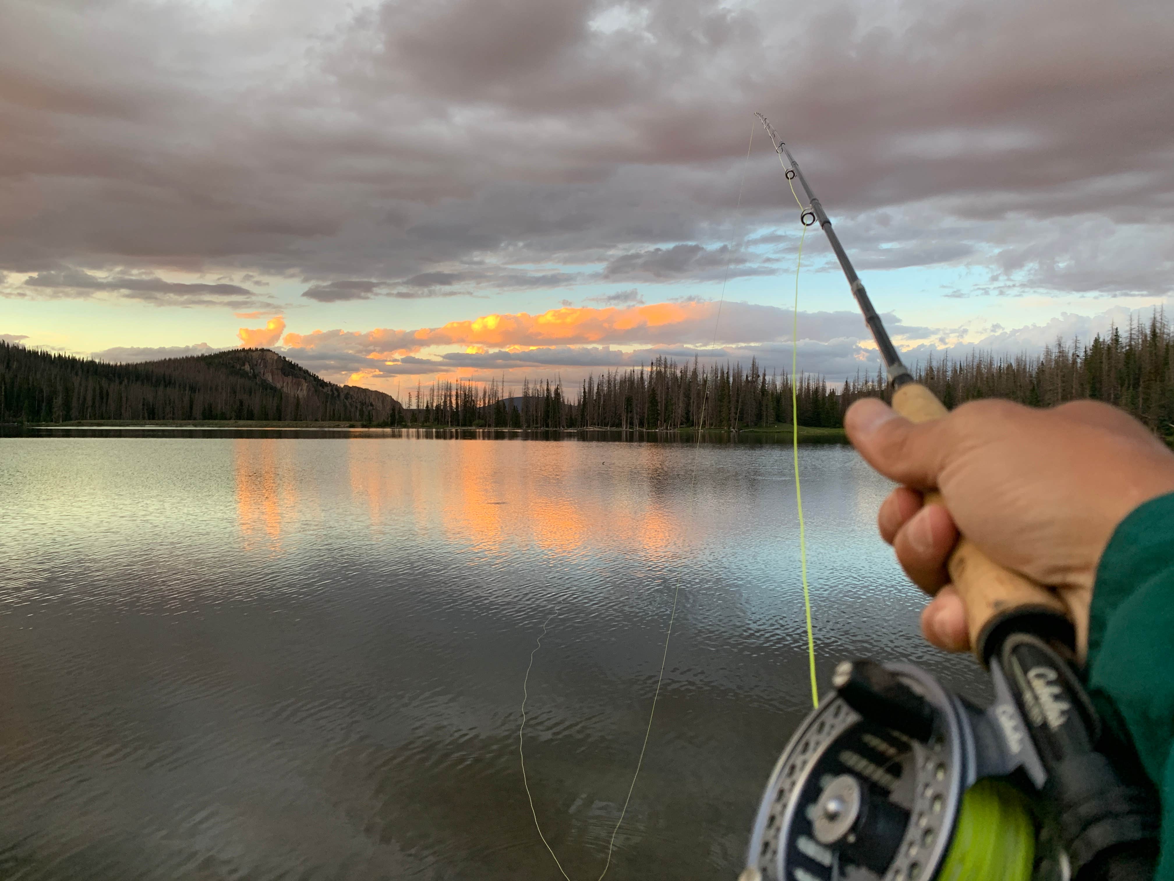 Camper submitted image from Poage Lake Primitive Campsite - 5