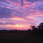 Review photo of Bayside Assateague Campground — Assateague Island National Seashore by Annelise S., August 18, 2017