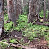 Review photo of Poage Lake Primitive Campsite by Troy W., October 30, 2019