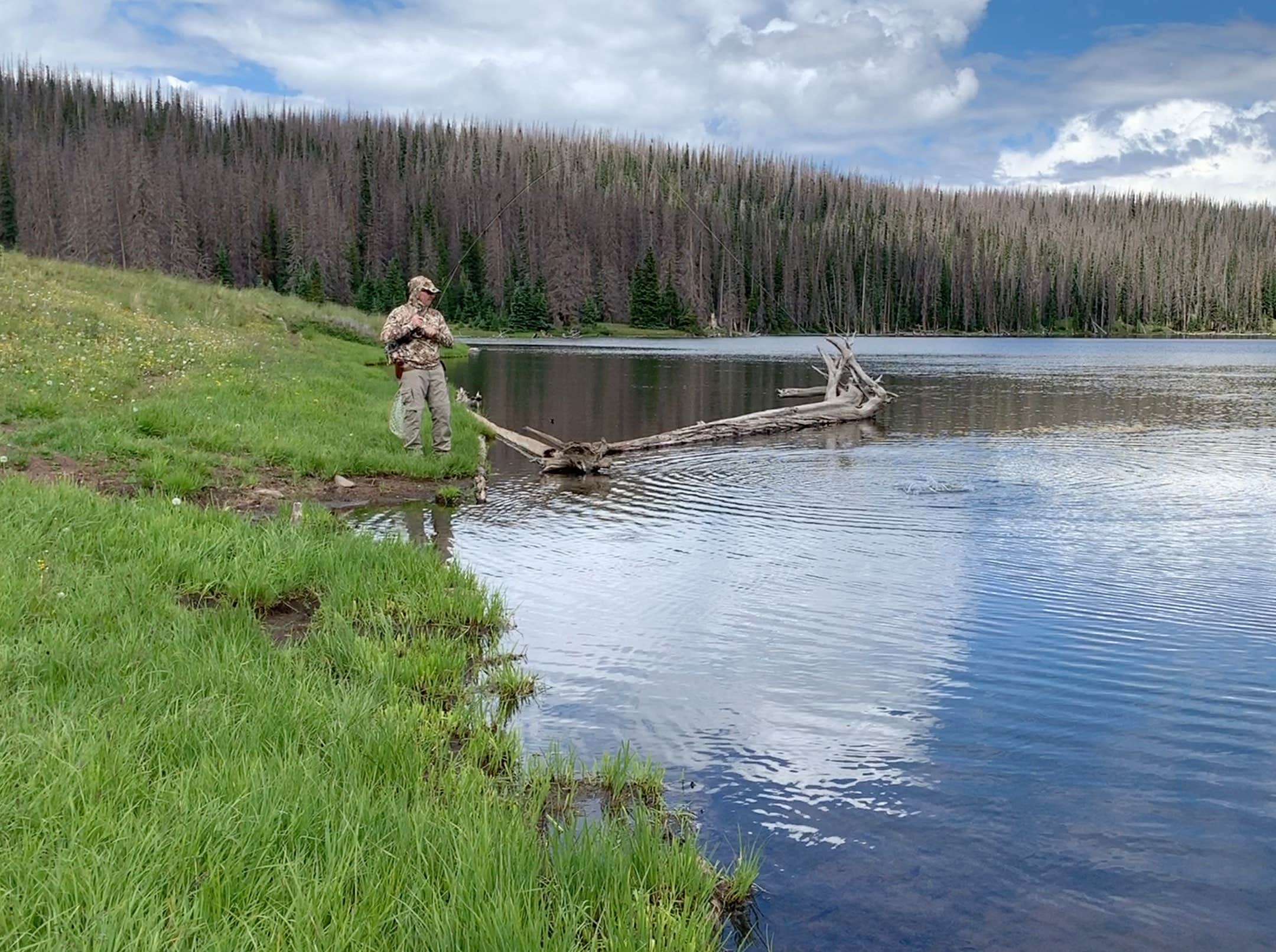 Camper-submitted photo at Poage Lake Primitive Campsite near Rio Grande National Forest