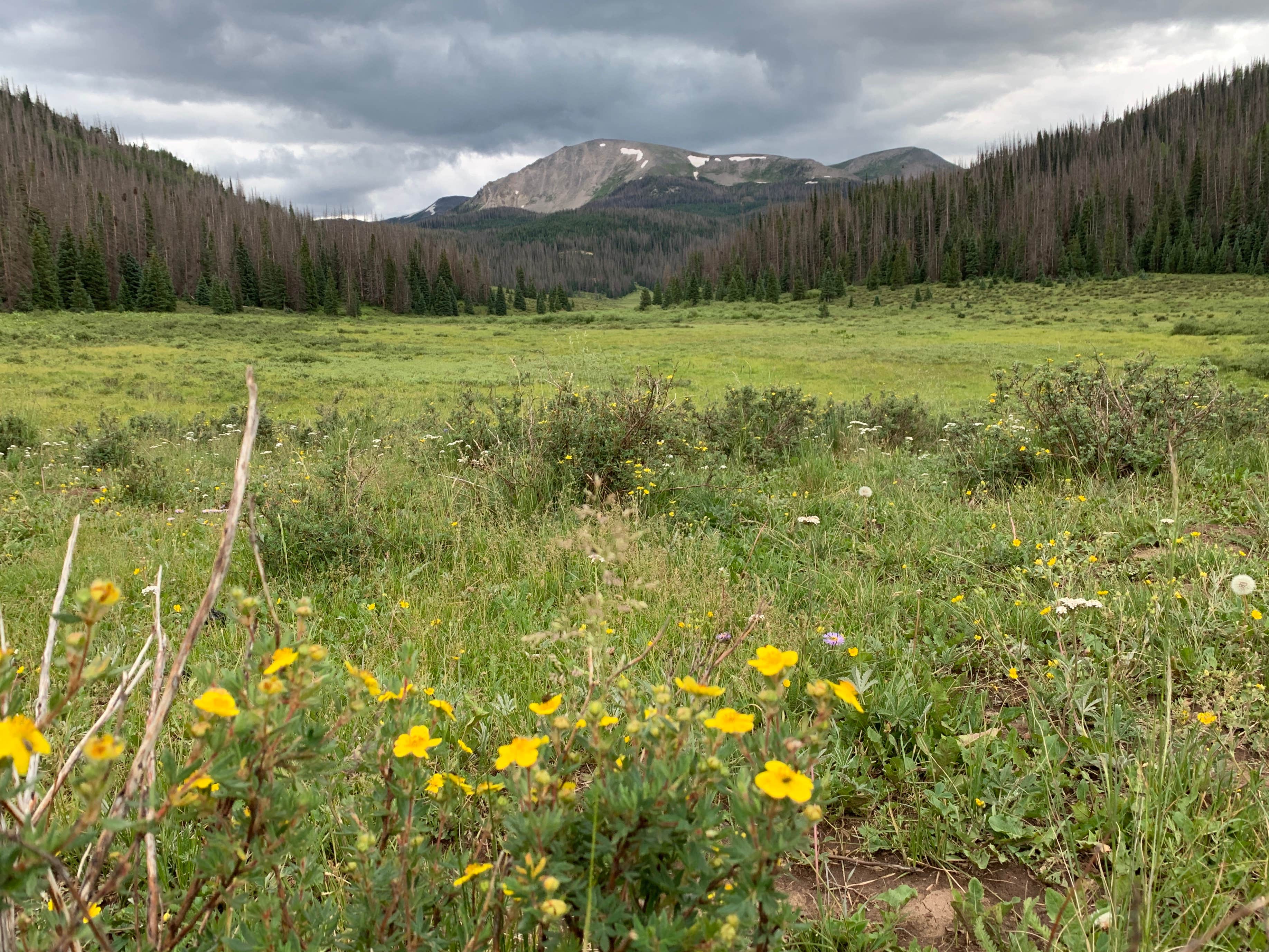 Camper-submitted photo at Poage Lake Primitive Campsite near Rio Grande National Forest