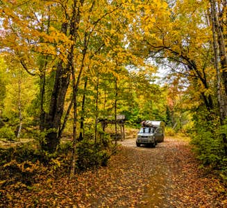 Camper-submitted photo from Spacious Skies Balsam Woods