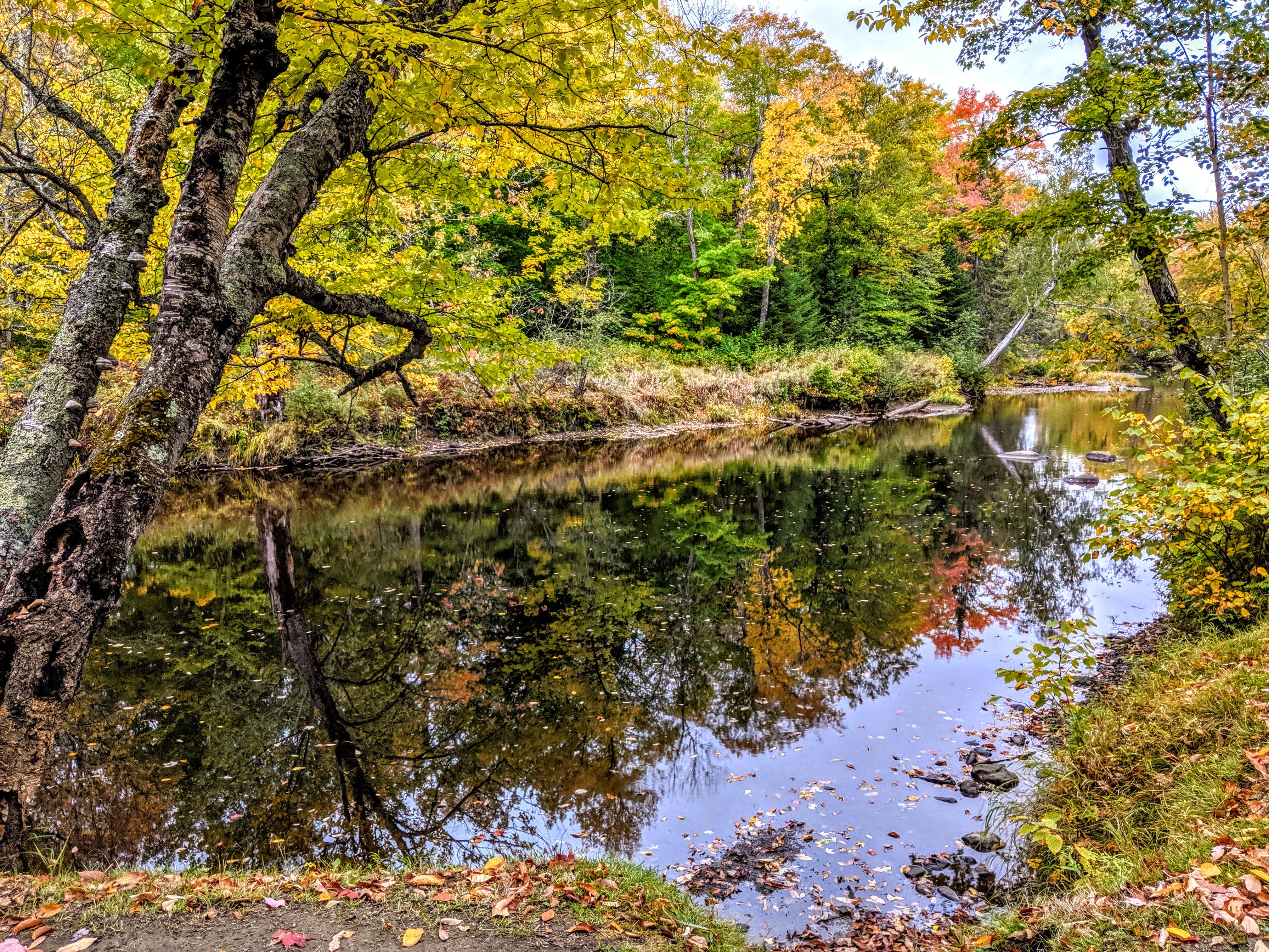 Camper submitted image from Pleasant River (Katahdin Ironworks) - 3